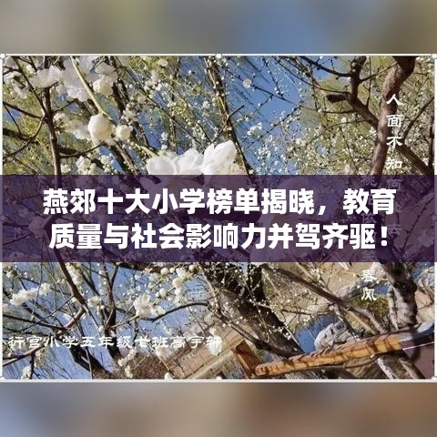 燕郊十大小学榜单揭晓,教育质量与社会影响力并驾齐驱!