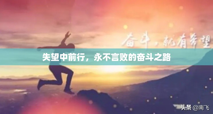 失望中前行，永不言败的奋斗之路