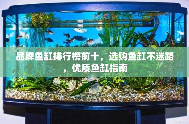 品牌鱼缸排行榜前十，选购鱼缸不迷路，优质鱼缸指南