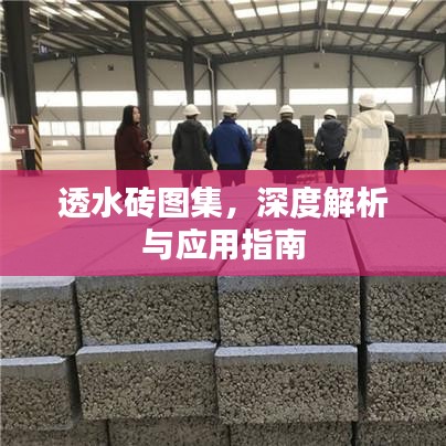 透水砖图集，深度解析与应用指南