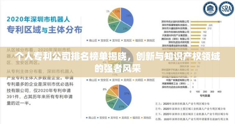 个人专利公司排名榜单揭晓，创新与知识产权领域的强者风采