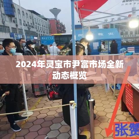 2024年灵宝市尹富市场全新动态概览