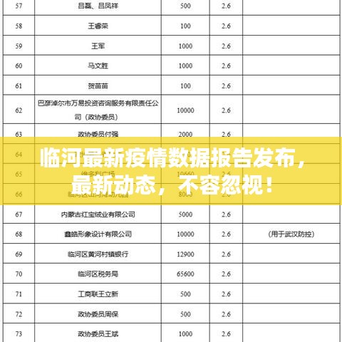 临河最新疫情数据报告发布,最新动态,不容忽视!