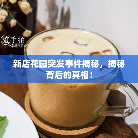 新店花园突发事件揭秘，揭秘背后的真相！