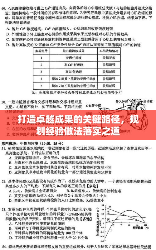 打造卓越成果的关键路径，规划经验做法落实之道