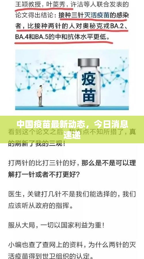 中国疫苗最新动态，今日消息速递
