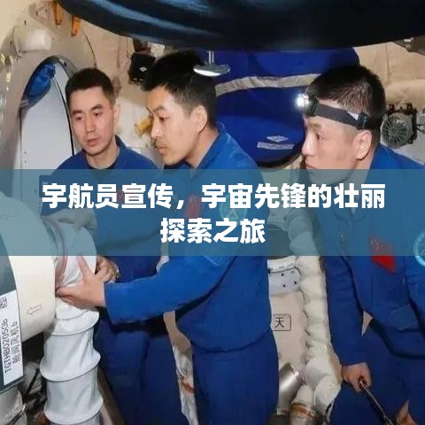 张张屈屈 第3页