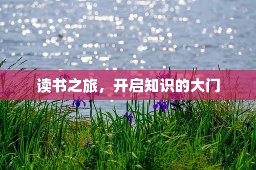 读书之旅，开启知识的大门