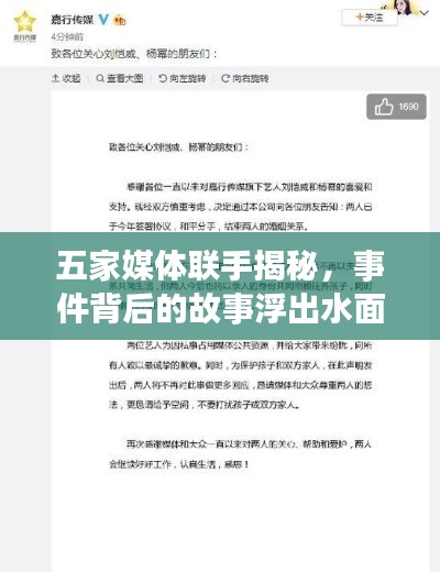 五家媒体联手揭秘，事件背后的故事浮出水面