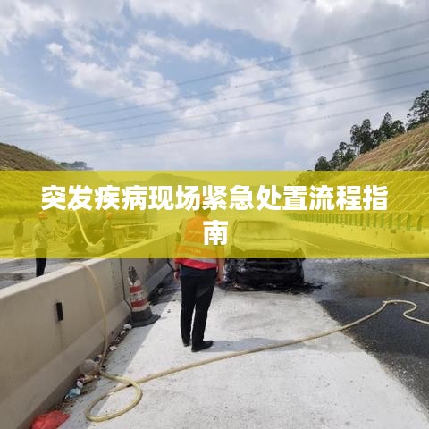 突发疾病现场紧急处置流程指南