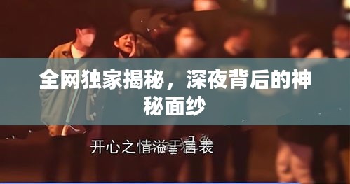 全网独家揭秘,深夜背后的神秘面纱