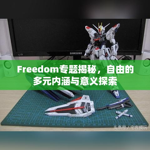 Freedom专题揭秘，自由的多元内涵与意义探索