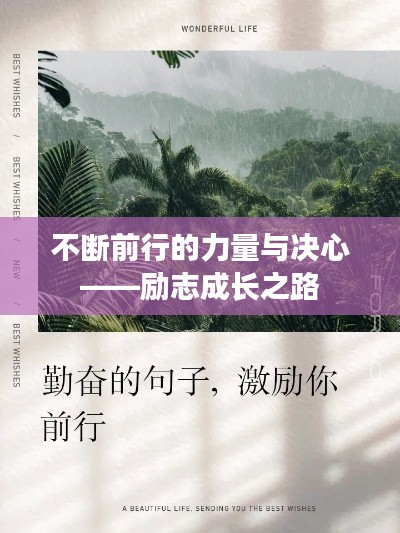 不断前行的力量与决心——励志成长之路