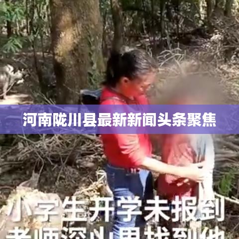 河南陇川县最新新闻头条聚焦