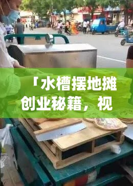 「水槽摆地摊创业秘籍，视频大全集，最新实用指南助你成功」