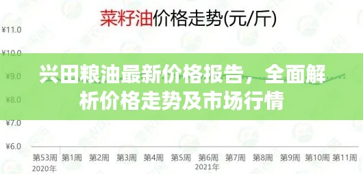 兴田粮油最新价格报告，全面解析价格走势及市场行情
