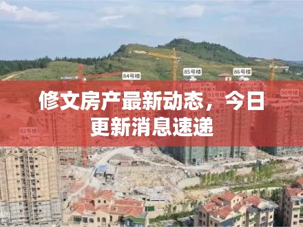 修文房产最新动态，今日更新消息速递