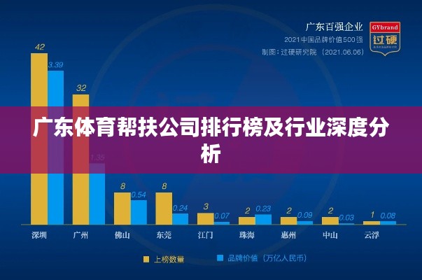 广东体育帮扶公司排行榜及行业深度分析