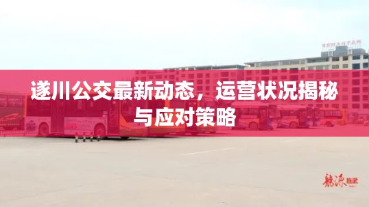 遂川公交最新动态，运营状况揭秘与应对策略