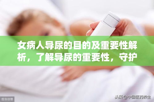 女病人导尿的目的及重要性解析，了解导尿的重要性，守护女性健康