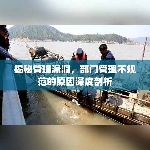 揭秘管理漏洞,部门管理不规范的原因深度剖析