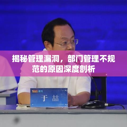 揭秘管理漏洞,部门管理不规范的原因深度剖析