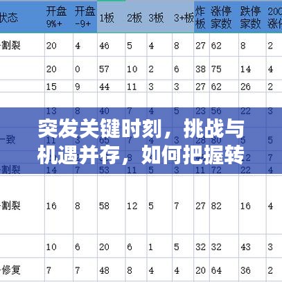 突发关键时刻，挑战与机遇并存，如何把握转折？