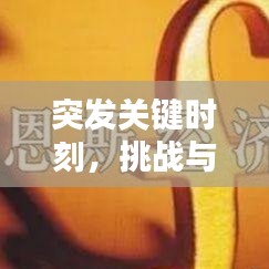 突发关键时刻,挑战与机遇并存,如何把握转折?