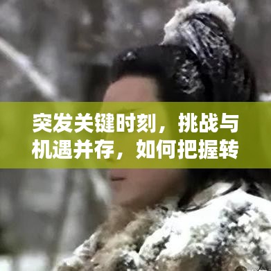 突发关键时刻,挑战与机遇并存,如何把握转折?