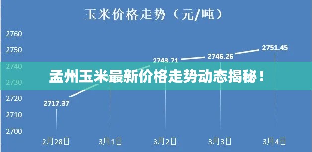 孟州玉米最新价格走势动态揭秘！