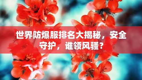 世界防爆服排名大揭秘，安全守护，谁领风骚？