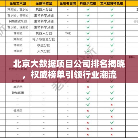 北京大数据项目公司排名揭晓，权威榜单引领行业潮流