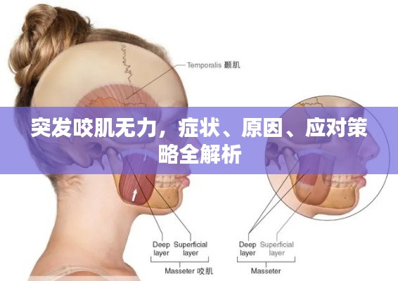 突发咬肌无力，症状、原因、应对策略全解析