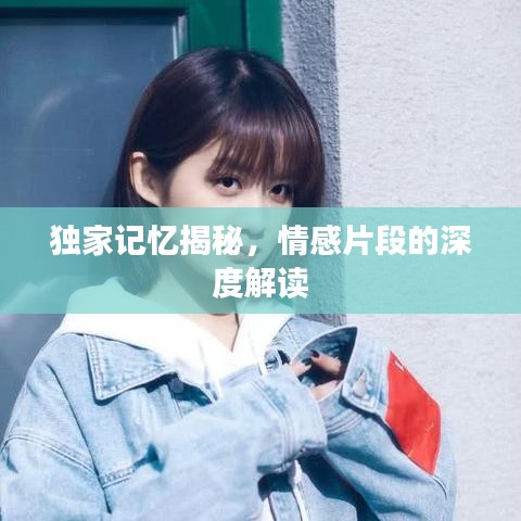 独家记忆揭秘，情感片段的深度解读