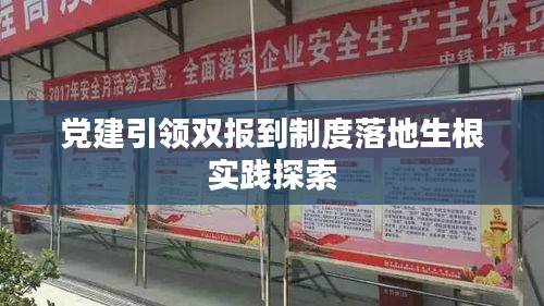 党建引领双报到制度落地生根实践探索