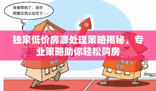 独家低价房源处理策略揭秘,专业策略助你轻松购房