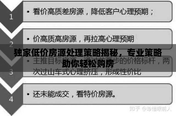 独家低价房源处理策略揭秘,专业策略助你轻松购房