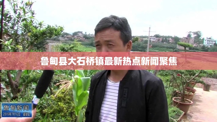 鲁甸县大石桥镇最新热点新闻聚焦