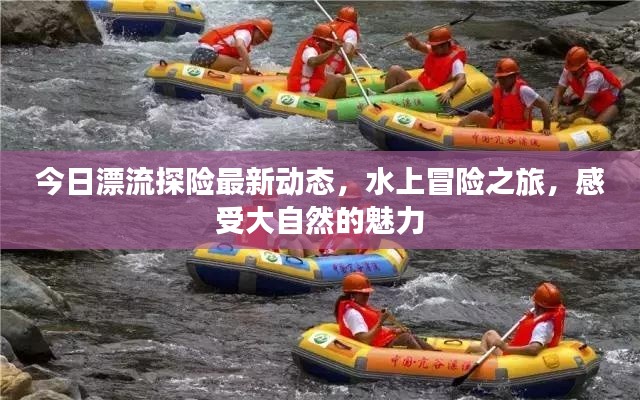 今日漂流探险最新动态，水上冒险之旅，感受大自然的魅力