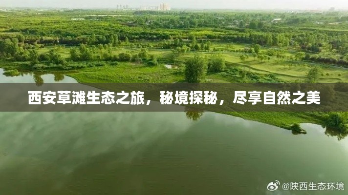 西安草滩生态之旅，秘境探秘，尽享自然之美