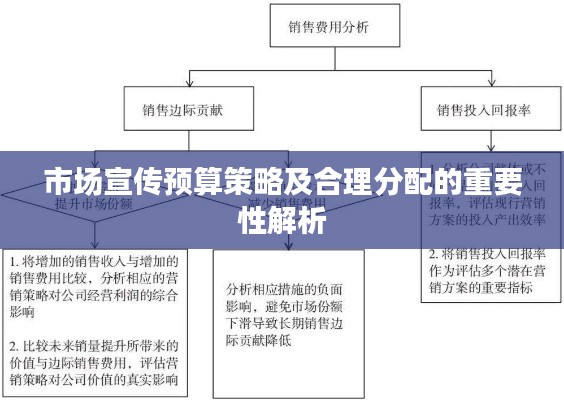 市场宣传预算策略及合理分配的重要性解析