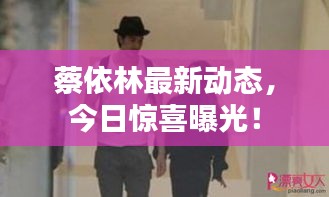 落落大方 第3页