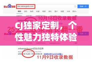CJ独家定制，个性魅力独特体验，百度收录标准吸睛标题