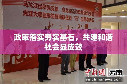 政策落实夯实基石，共建和谐社会显成效