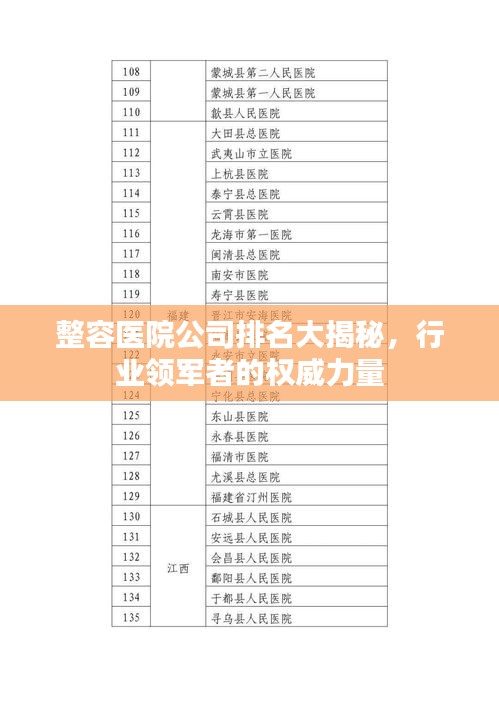 整容医院公司排名大揭秘，行业领军者的权威力量