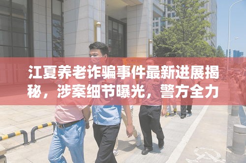 江夏养老诈骗事件最新进展揭秘，涉案细节曝光，警方全力追查真相！