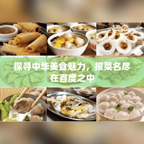 探寻中华美食魅力，报菜名尽在百度之中
