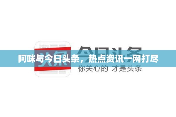 阿咪与今日头条，热点资讯一网打尽