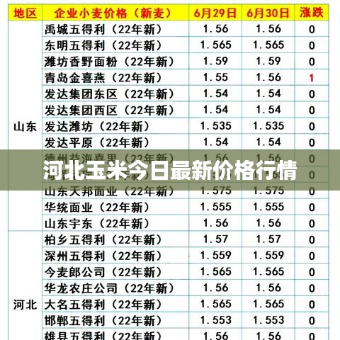 河北玉米今日最新价格行情