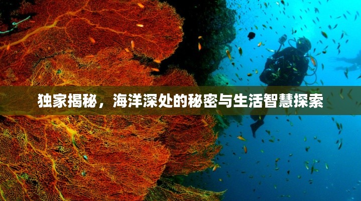 独家揭秘，海洋深处的秘密与生活智慧探索